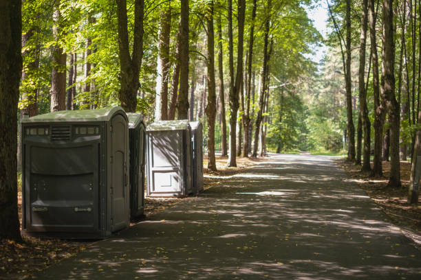 Best Sanitation services for porta potties  in Mission, TX